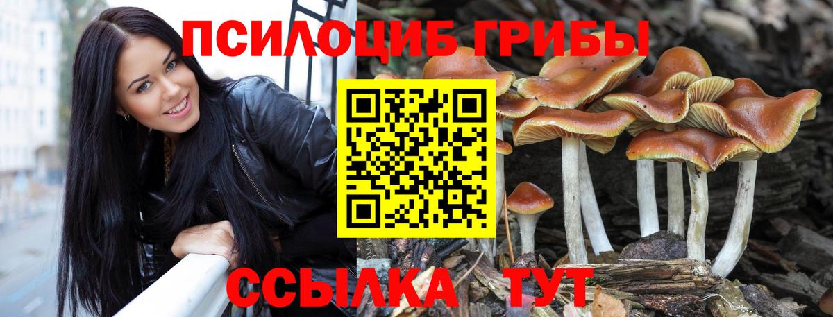 Галлюциногенные грибы прущие грибы  цена   Вход с VPN  Партизанск  Псилоцибиновые грибы MAGIC MUSHROOMS 
