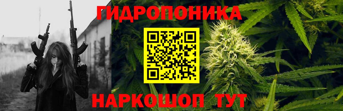 Конопля OG Kush Партизанск